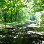 Press for Williams Lake Rail Trail Opening